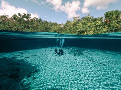 SSI Scuba Diver Course